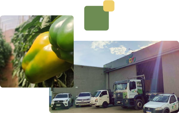 Solicite seu orçamento agora mesmo com a ECO Estufas Agrícolas