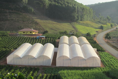 Conheça mais sobre os pilares da ECO Estufas Agrícolas