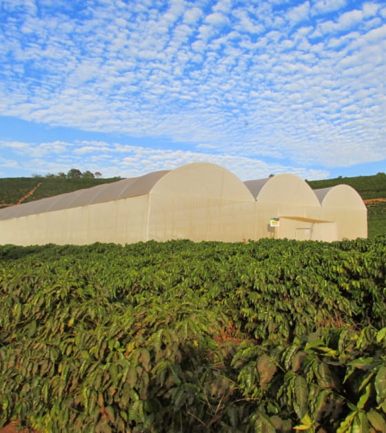 Conheça mais sobre a ECO Estufas Agrícolas