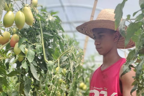 Conheça mais sobre os pilares da ECO Estufas Agrícolas